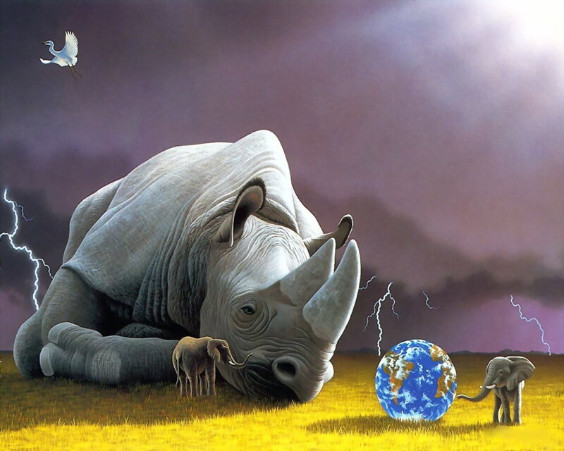 Rhinoceros in stormy field