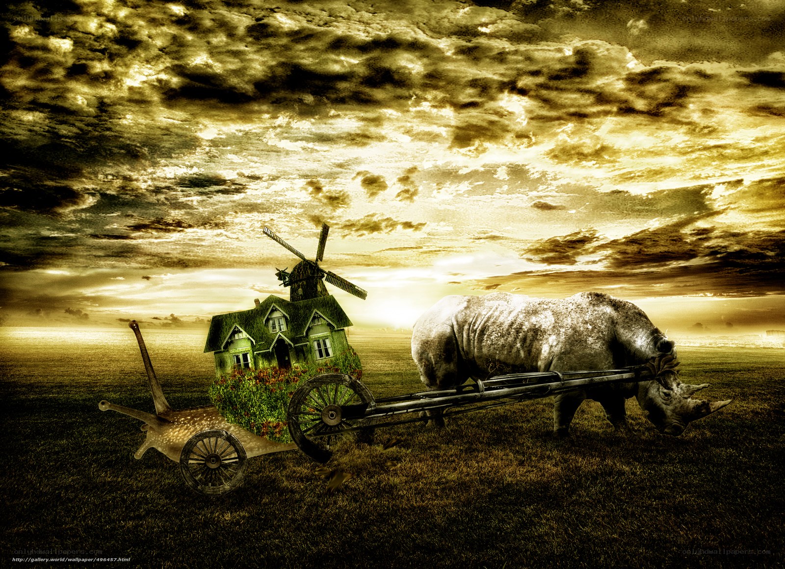 Rhinoceros pulling a house cart