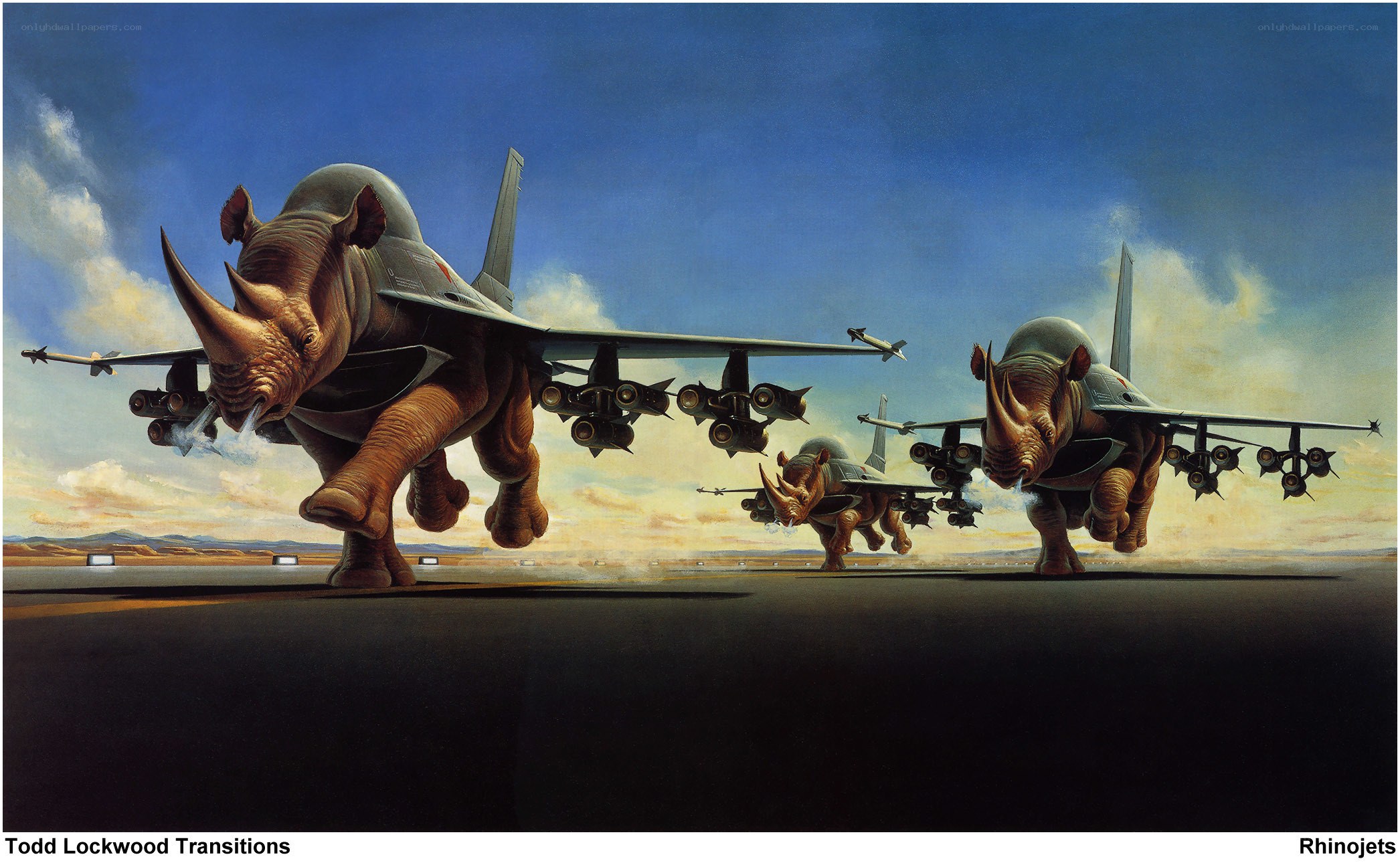 Rhinojet Aircraft Formation