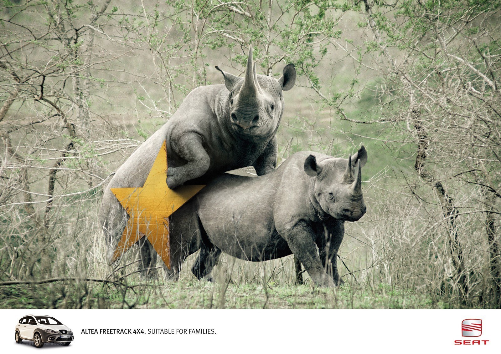 rhinos in mating pose