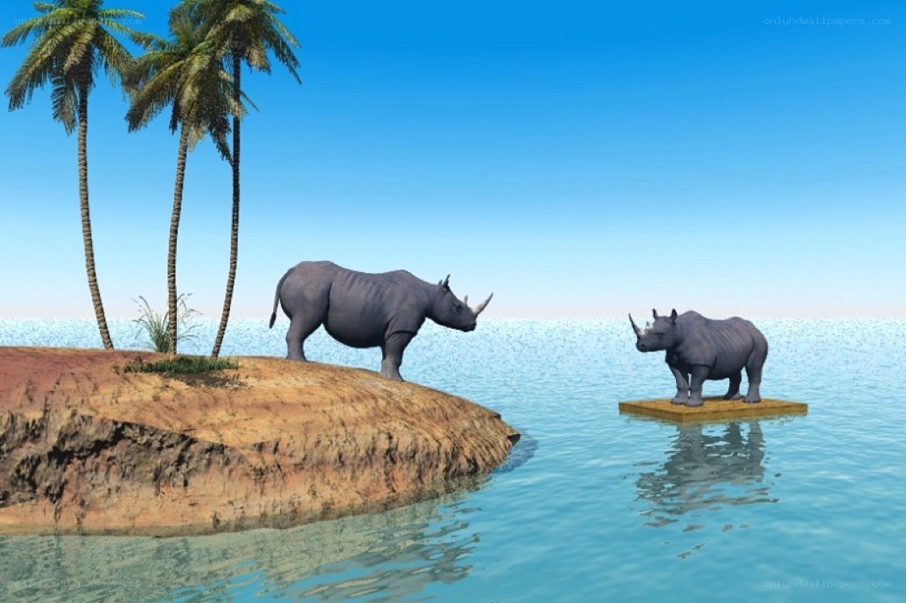 rhinos on a tropical island