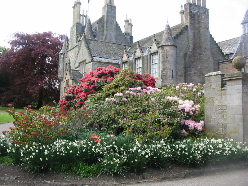 Rhododendron Bushes in Front of Castle