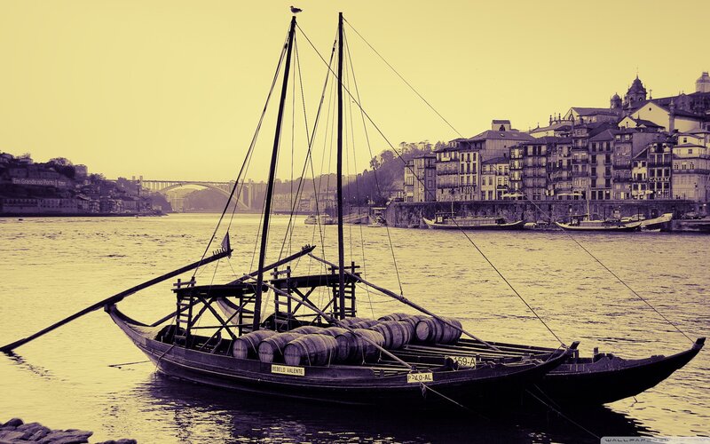 Ribeira boats on the Douro River