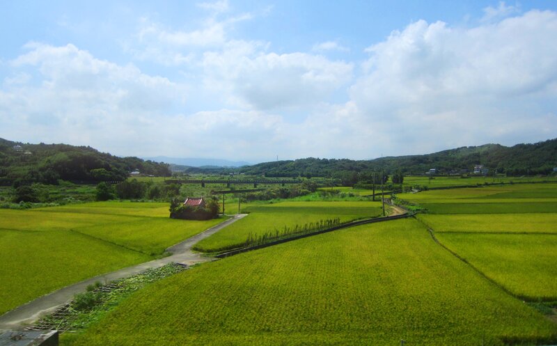 Rice Fields and Hills