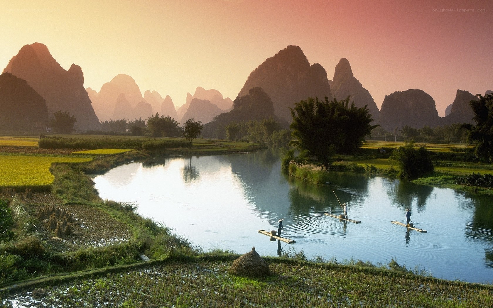 Rice fields and karst mountains at sunset