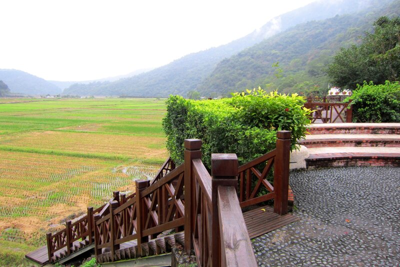 Rice Fields and Mountains — Green