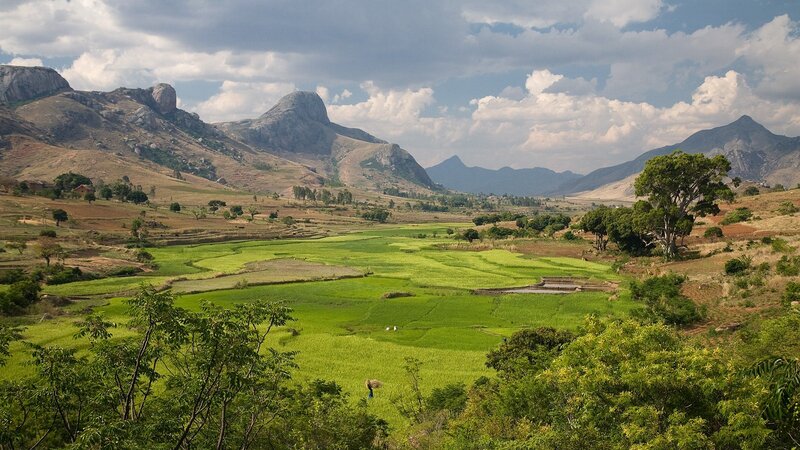 Rice fields and mountains landscape