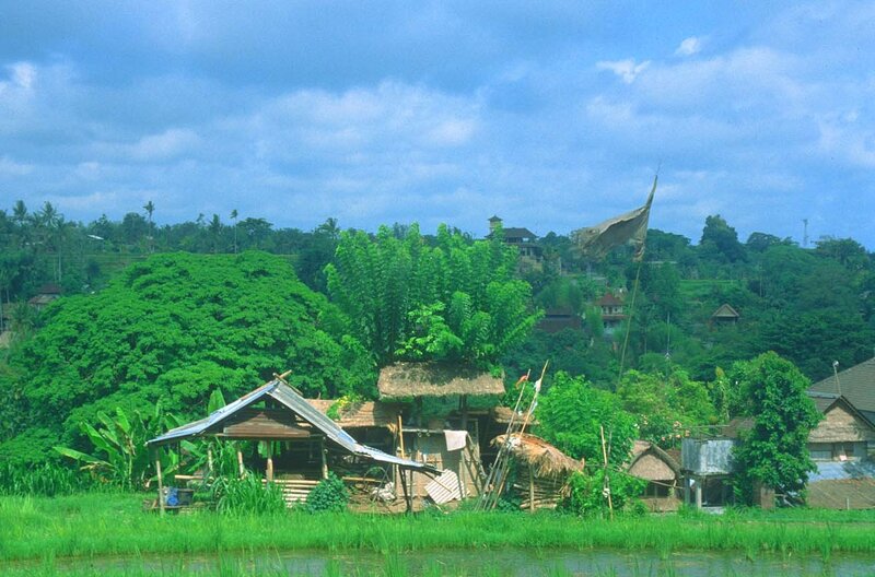 Rice fields and village in Bali