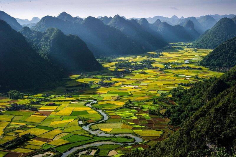 Rice fields in a mountain valley