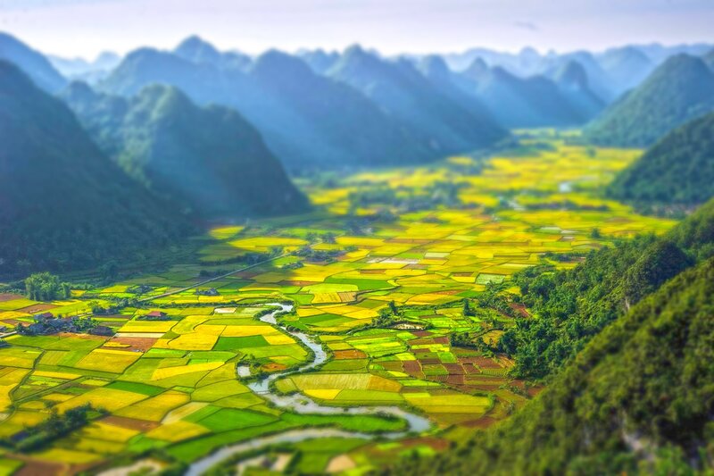 Rice Fields in Valley — Green, Serene, Afternoon