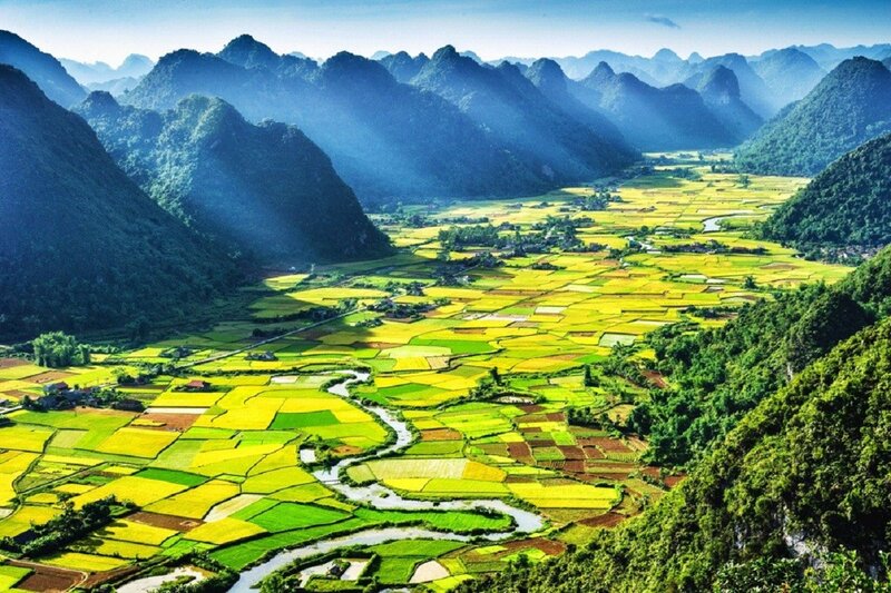 Rice Fields in Valley — Green, Serene