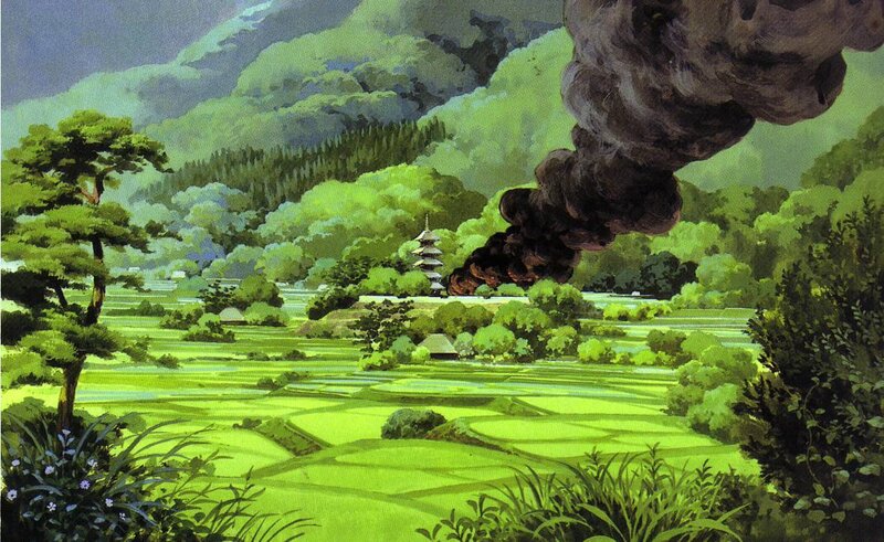Rice fields with smoke plume