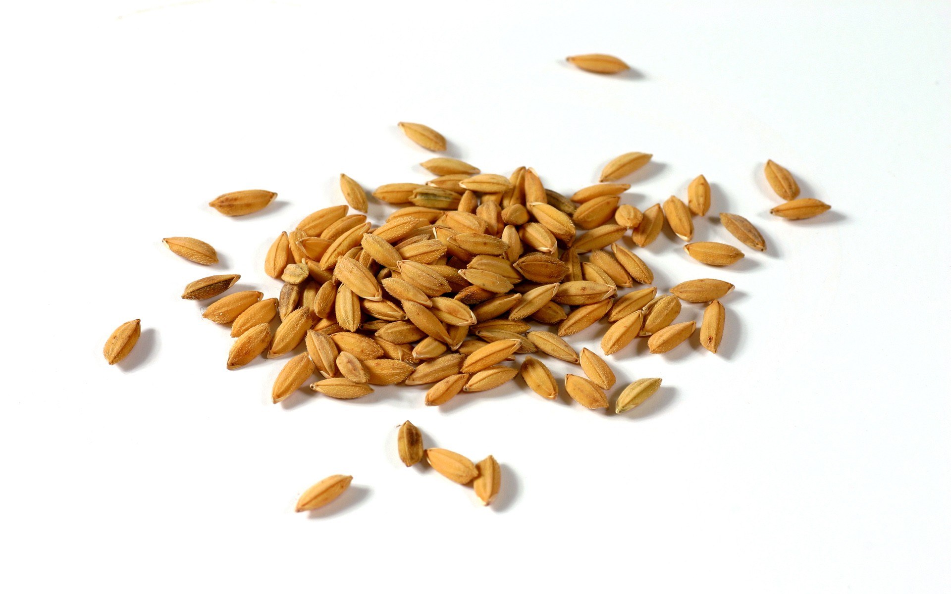 rice grains on white surface