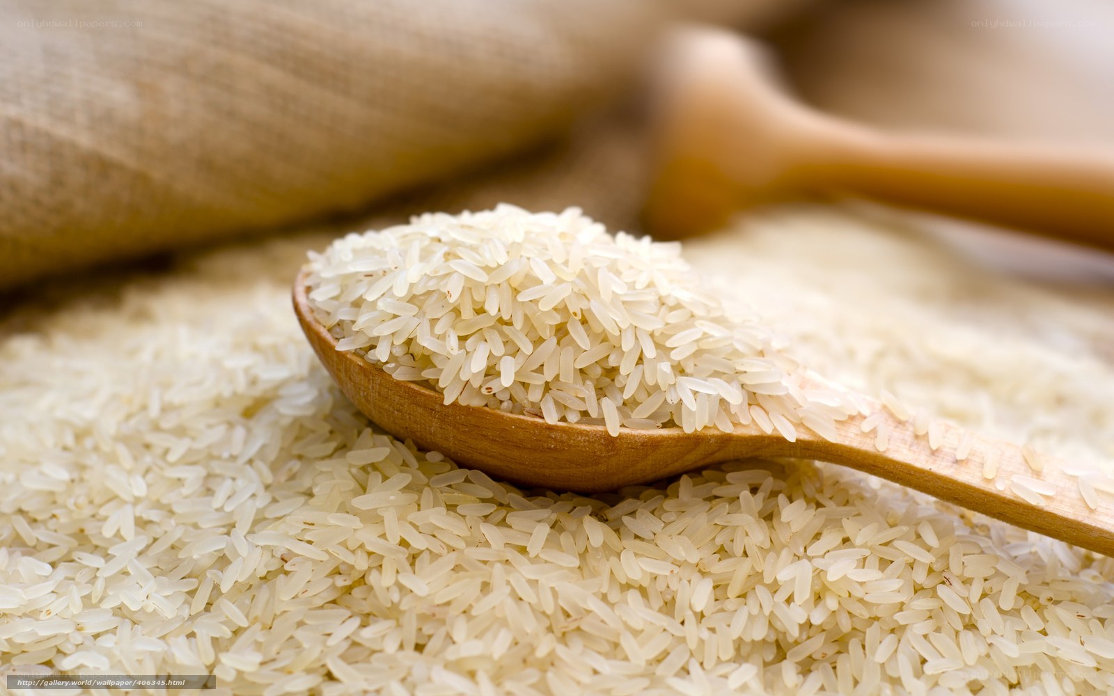 Rice on a wooden spoon