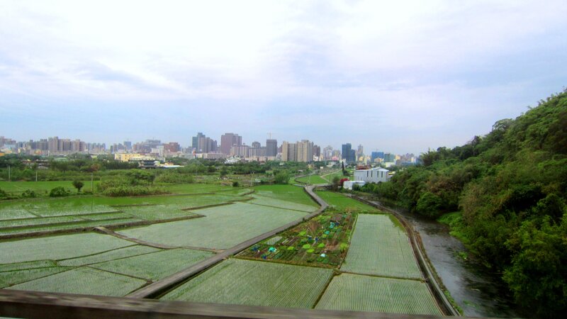 Rice Paddies and City