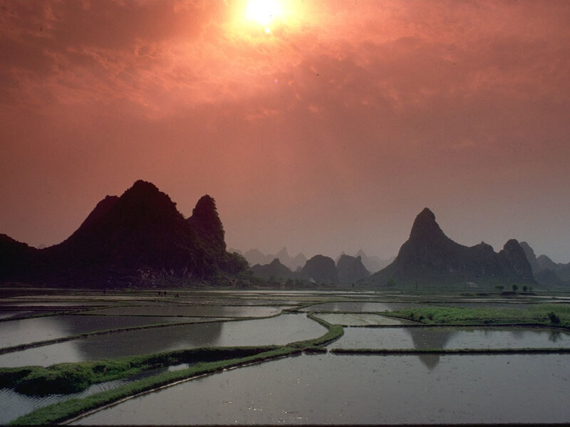 Rice Paddies and Karst Mountains — Orange