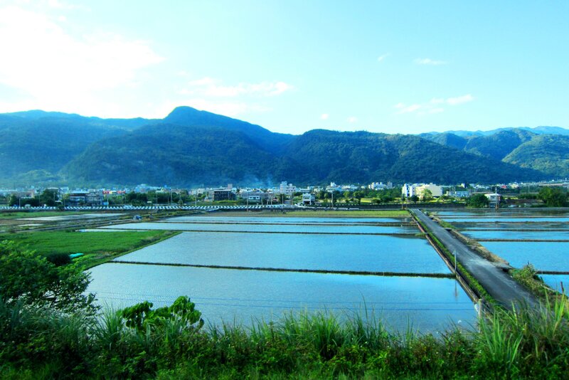 Rice Paddies and Mountains — Blue