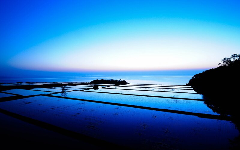 Rice Paddies at Dusk — Blue
