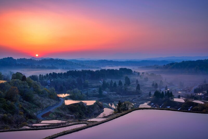 Rice Paddies at Sunrise — Orange