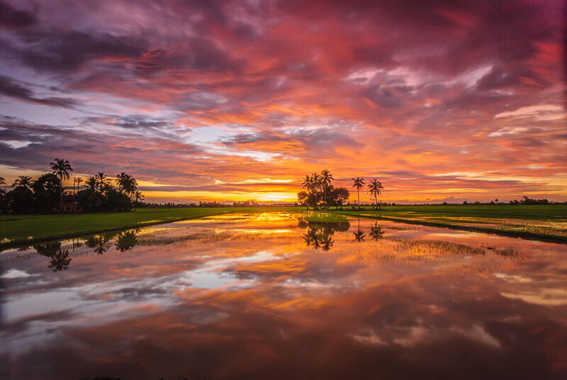 Rice Paddies at Sunset — Orange, Dramatic