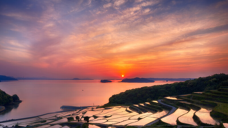 Rice Paddies at Sunset — Orange, Serene, Photograph, Sea
