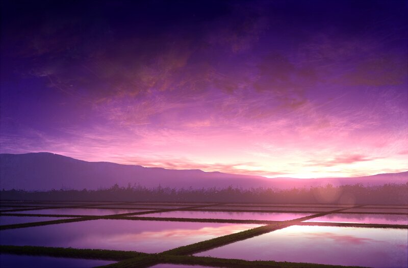 Rice Paddies at Sunset — Purple