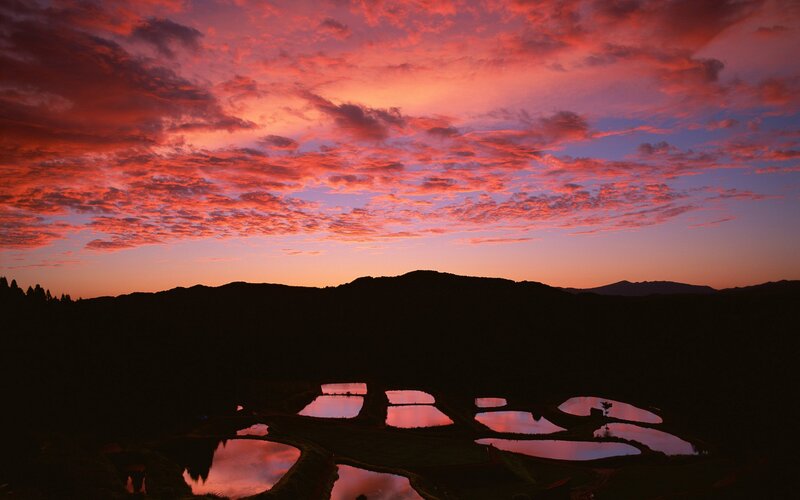 Rice Paddies at Sunset — Red, Dramatic
