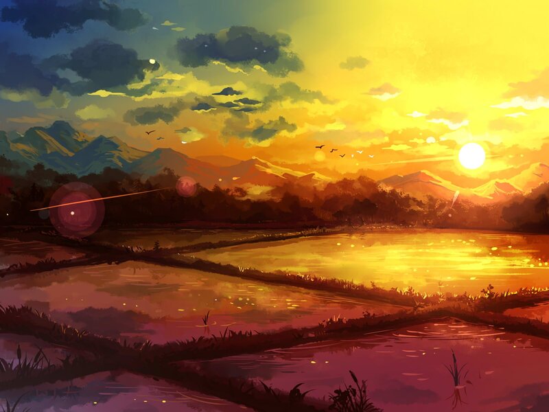 Rice Paddies at Sunset — Yellow, Serene