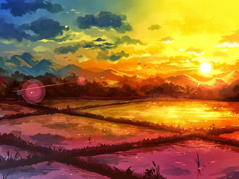 Rice Paddies at Sunset — Yellow