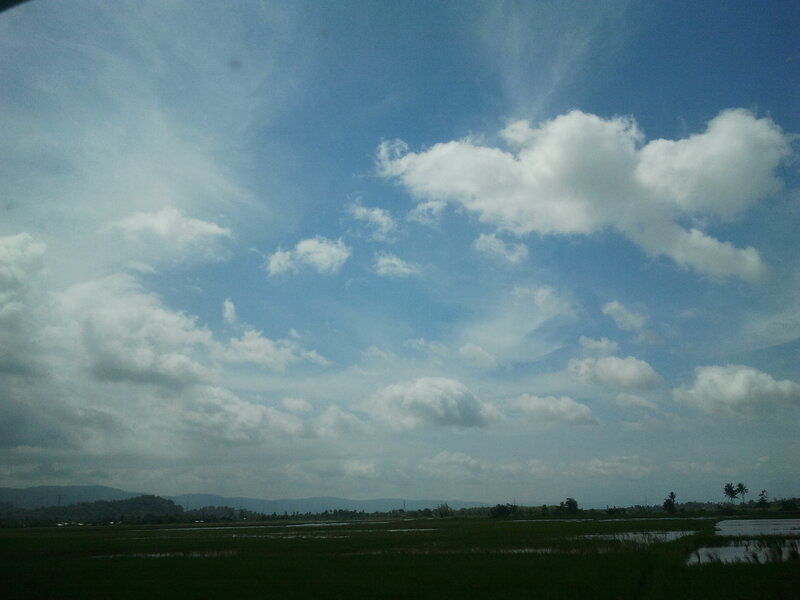 Rice Paddies under Clouds