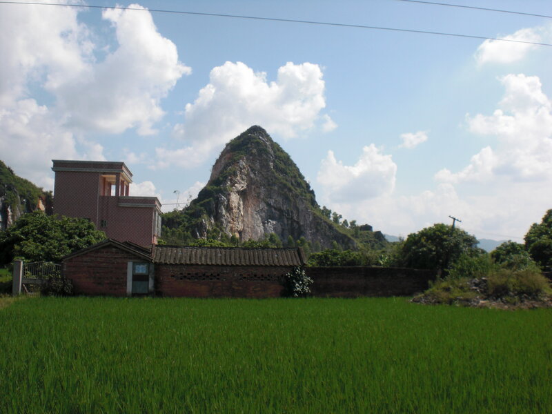 Rice Paddy with Hill