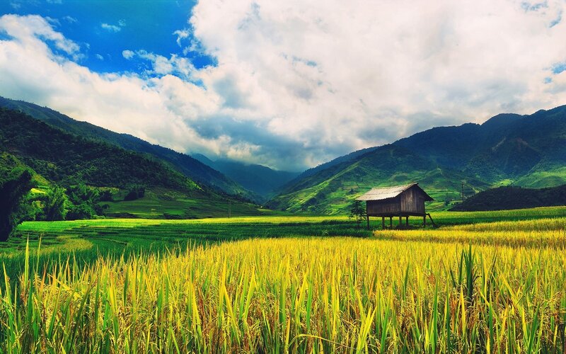 Rice Paddy with Hut — Green, Serene, Afternoon, Photograph, Mountains