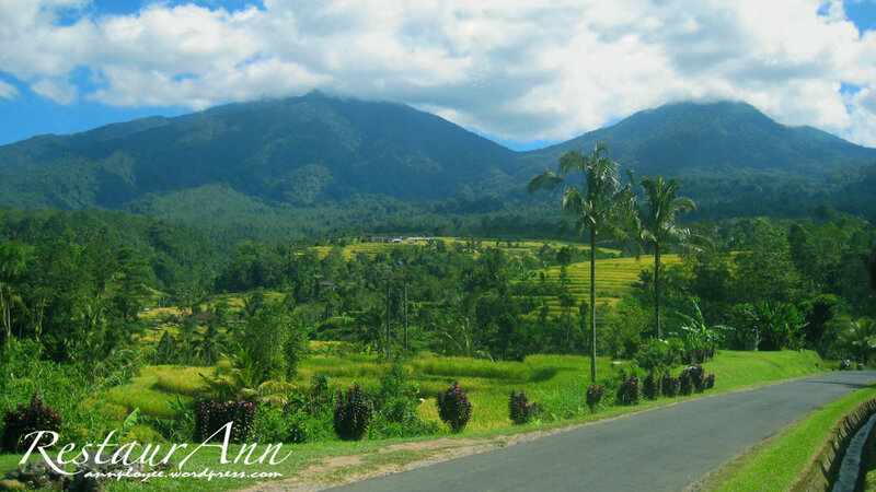 Rice Terraces and Mountains