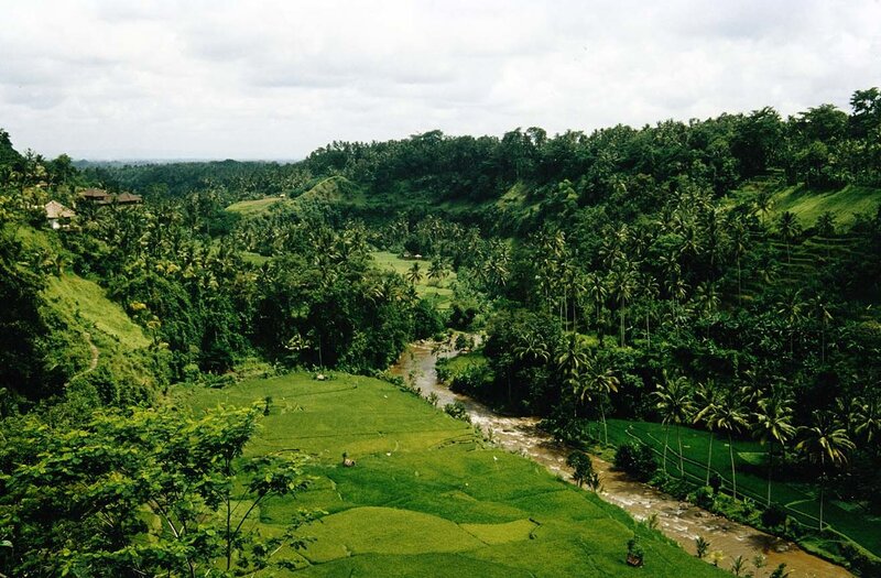 Rice terraces and river valley