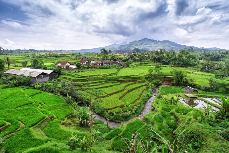 Rice Terraces and Village — Green, Serene, Afternoon