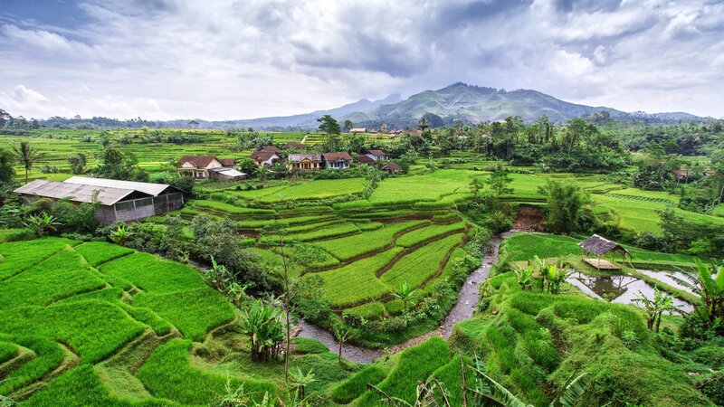 Rice Terraces and Village — Green, Serene