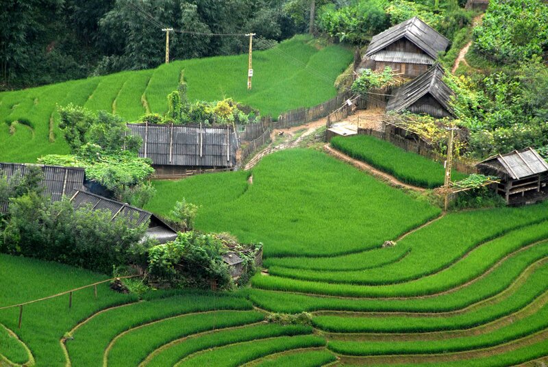 Rice Terraces and Village — Green