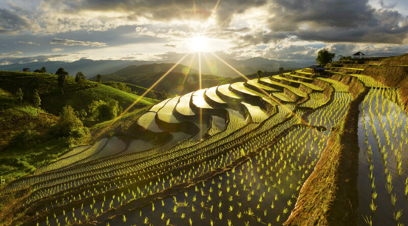 Rice Terraces at Sunrise — Green, Dramatic