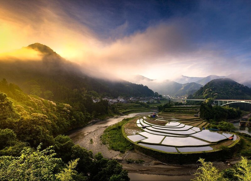 Rice Terraces at Sunrise — Green, Serene