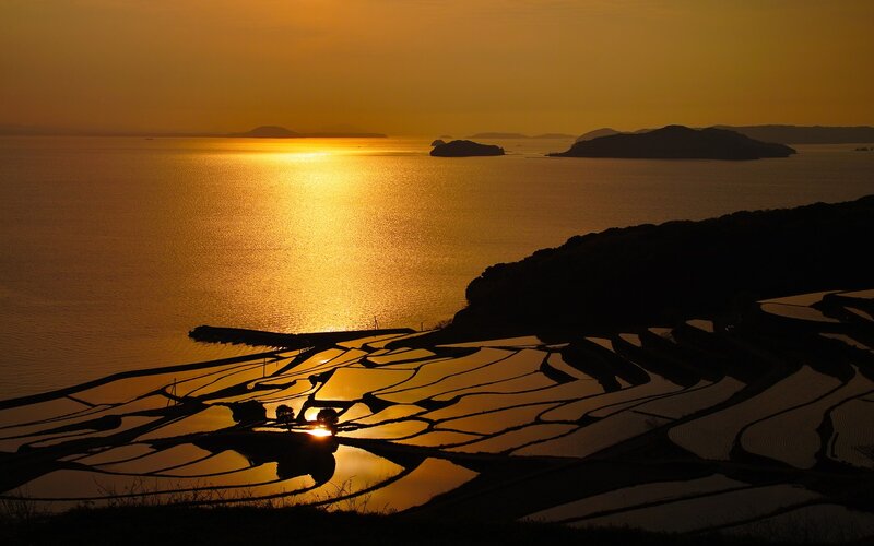 Rice Terraces at Sunset — Gold