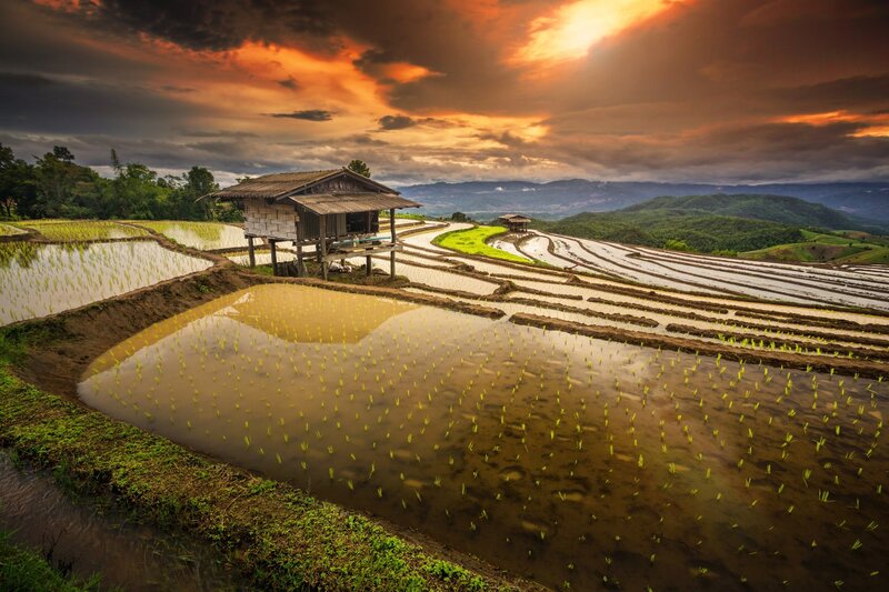 Rice Terraces at Sunset — Orange