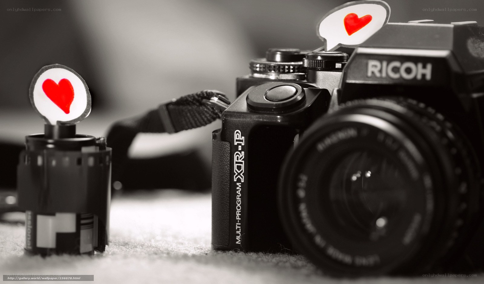 Ricoh camera with heart icons