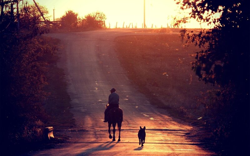 Rider and dog on a rural road