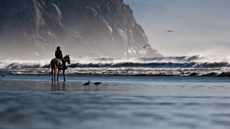 Rider on a beach at sunset