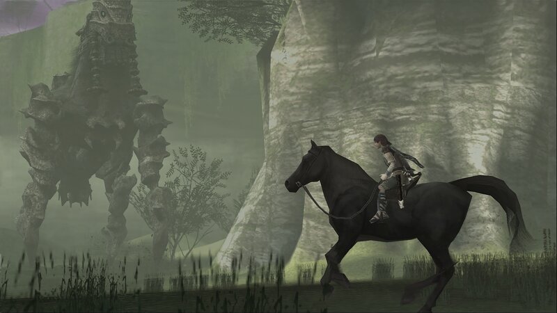 Rider on a black horse