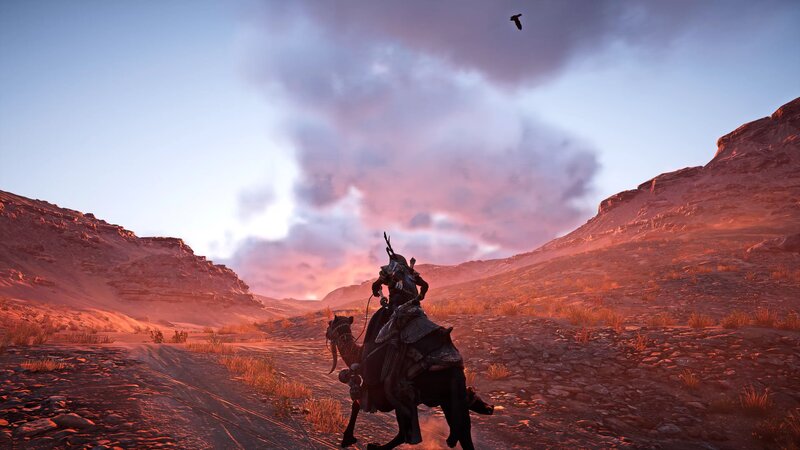 Rider on a Camel