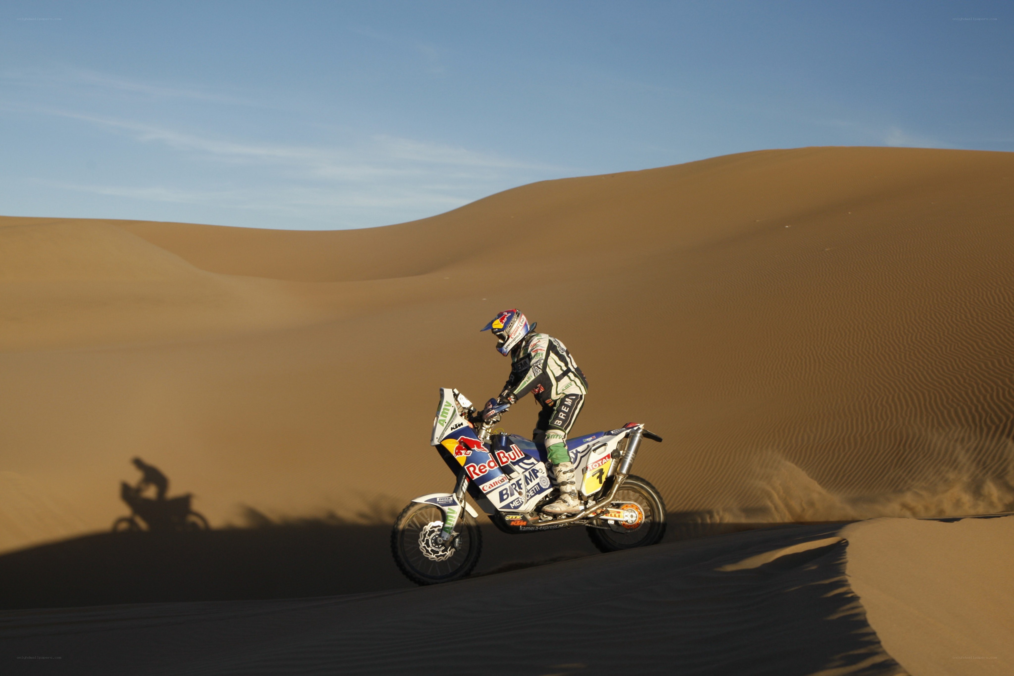 Rider on a desert dune