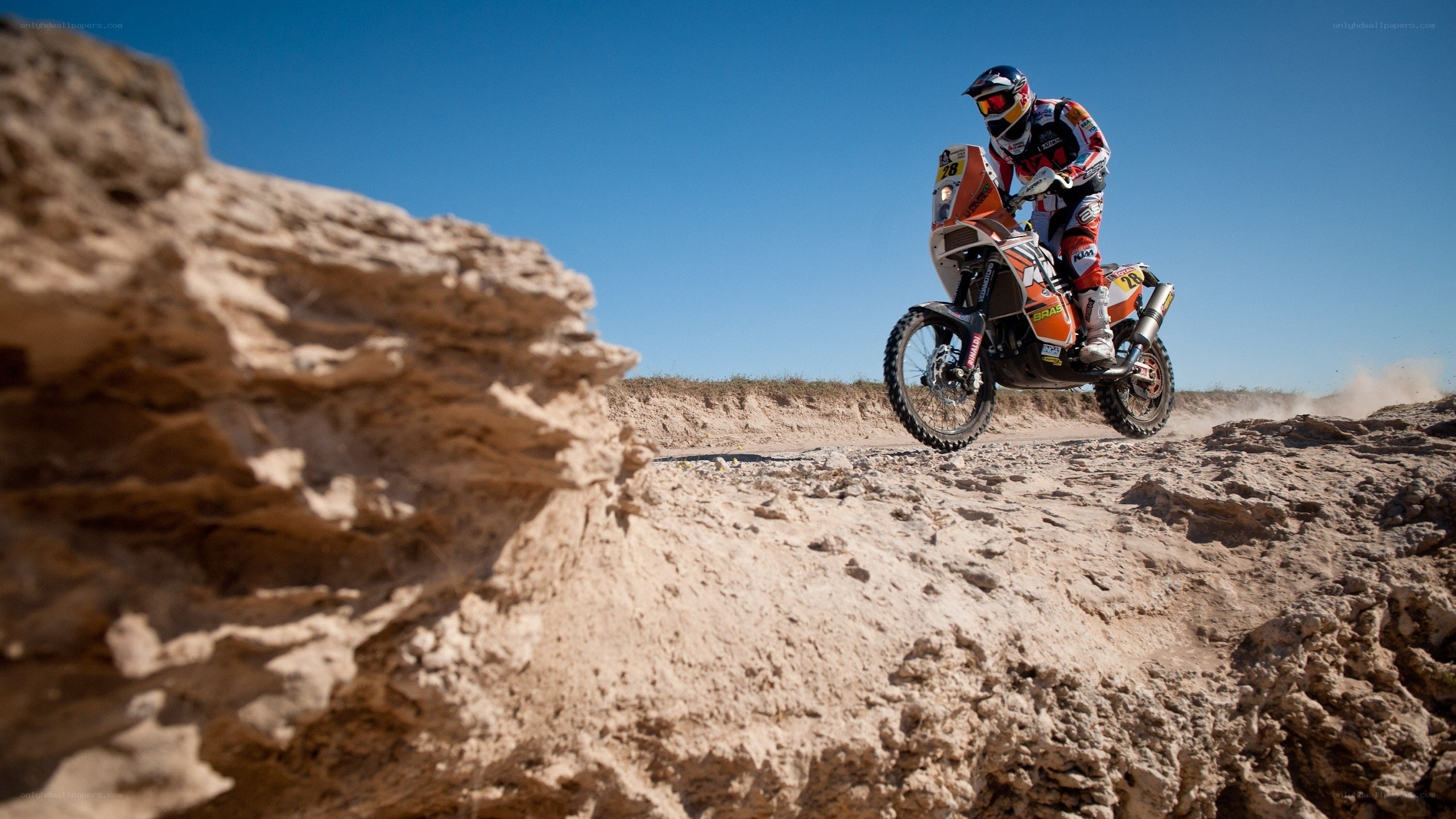 Rider on a dirt bike