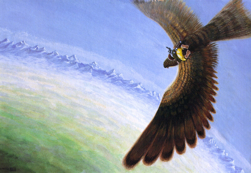 Rider on a flying bird