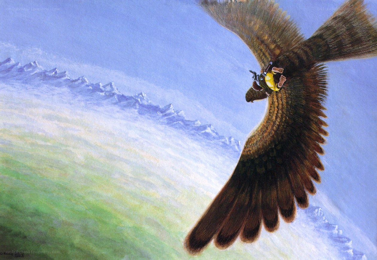 Rider on a flying bird